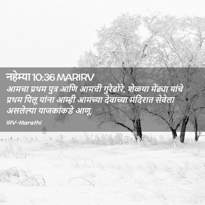 Picture 02 - नहेम्या 10:36 MARIRV - आमचा प्रथम पुत्र - Bible Verse Picture