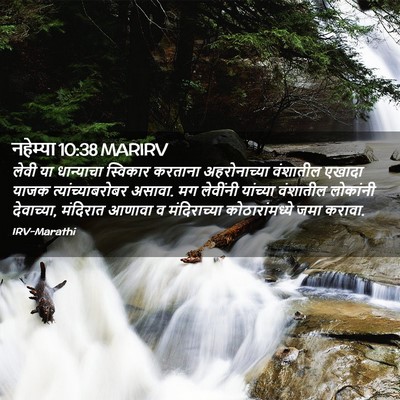 Picture 02 - नहेम्या 10:38 MARIRV - लेवी या धान्याचा - Bible Verse Picture