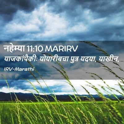 Picture 02 - नहेम्या 11:10 MARIRV - याजकांपैकीः - Bible Verse Picture