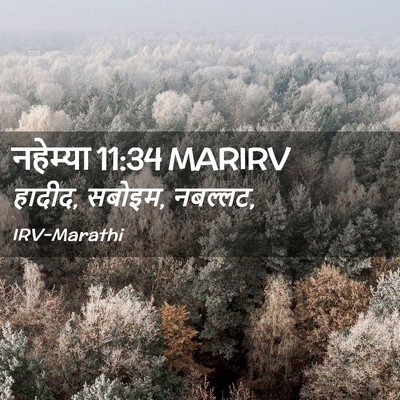 Picture 02 - नहेम्या 11:34 MARIRV - हादीद, सबोइम, - Bible Verse Picture