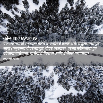 Picture 02 - नहेम्या 11:7 MARIRV - यरूशलेमामध्ये - Bible Verse Picture