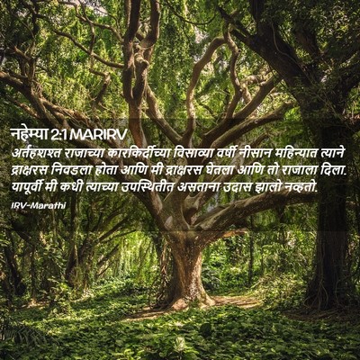 Picture 02 - नहेम्या 2:1 MARIRV - अर्तहशश्त - Bible Verse Picture