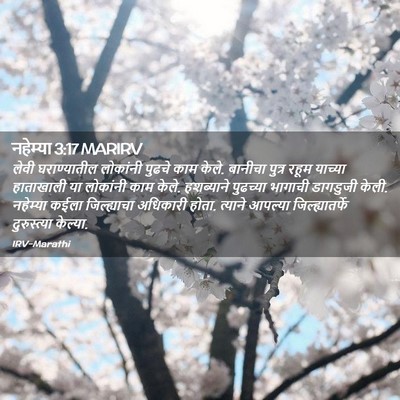Picture 02 - नहेम्या 3:17 MARIRV - लेवी घराण्यातील - Bible Verse Picture