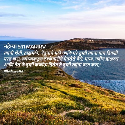 Picture 02 - नहेम्या 5:11 MARIRV - त्यांची शेती, - Bible Verse Picture