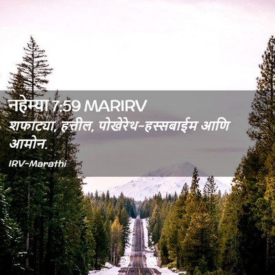 Picture 02 - नहेम्या 7:59 MARIRV - शफाट्या, हत्तील, - Bible Verse Picture