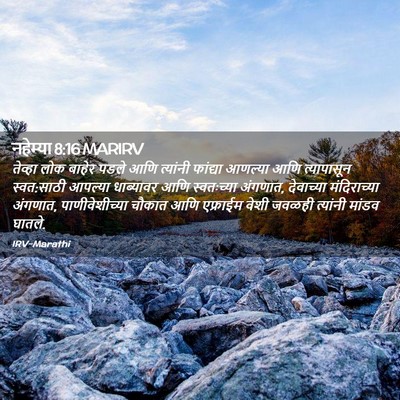 Picture 02 - नहेम्या 8:16 MARIRV - तेव्हा लोक बाहेर - Bible Verse Picture