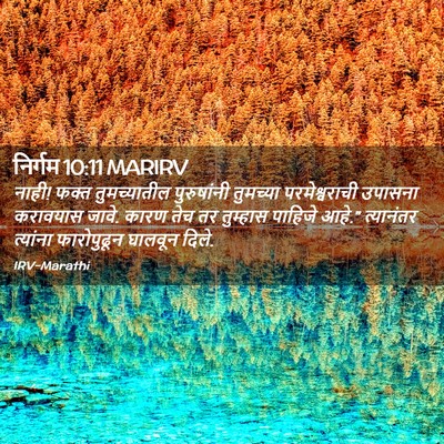 Picture 02 - निर्गम 10:11 MARIRV - नाही! फक्त - Bible Verse Picture