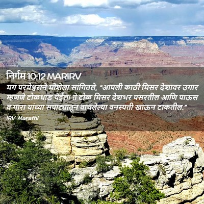 Picture 02 - निर्गम 10:12 MARIRV - मग परमेश्वराने - Bible Verse Picture