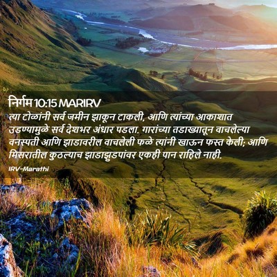 Picture 02 - निर्गम 10:15 MARIRV - त्या टोळांनी सर्व - Bible Verse Picture