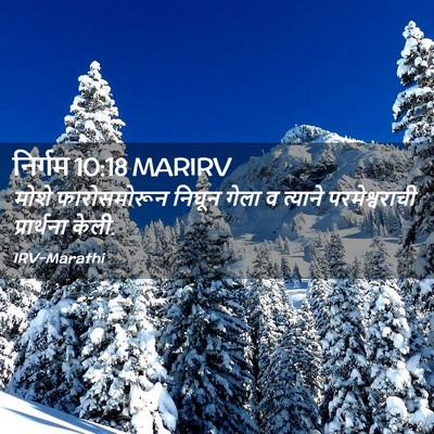 Picture 02 - निर्गम 10:18 MARIRV - मोशे फारोसमोरून - Bible Verse Picture