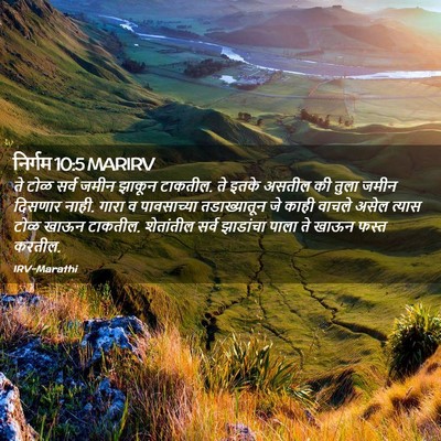 Picture 02 - निर्गम 10:5 MARIRV - ते टोळ सर्व जमीन - Bible Verse Picture