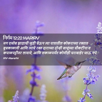 Picture 02 - निर्गम 12:22 MARIRV - मग एजोब झाडाची - Bible Verse Picture