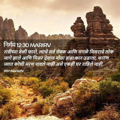 Picture 02 - निर्गम 12:30 MARIRV - रात्रीच्या वेळी - Bible Verse Picture