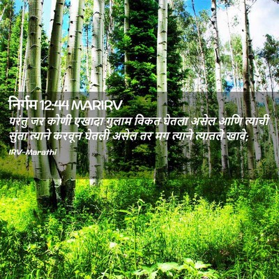 Picture 02 - निर्गम 12:44 MARIRV - परंतु जर कोणी - Bible Verse Picture