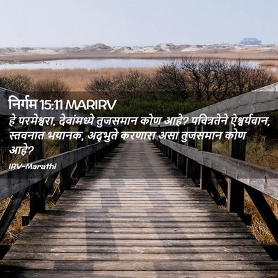 Picture 02 - निर्गम 15:11 MARIRV - हे परमेश्वरा, - Bible Verse Picture