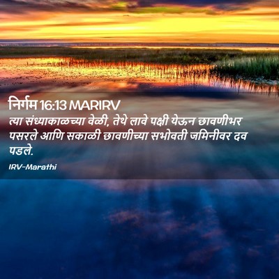 Picture 02 - निर्गम 16:13 MARIRV - त्या - Bible Verse Picture