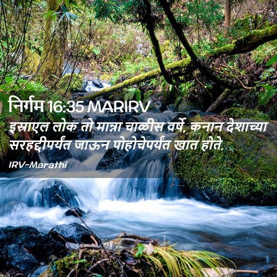 Picture 02 - निर्गम 16:35 MARIRV - इस्राएल लोक तो - Bible Verse Picture