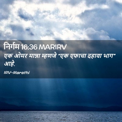 Picture 02 - निर्गम 16:36 MARIRV - एक ओमर मान्ना - Bible Verse Picture