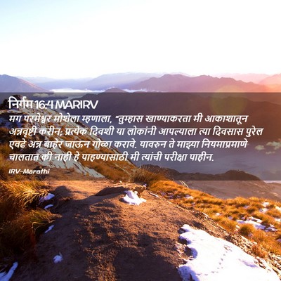Picture 02 - निर्गम 16:4 MARIRV - मग परमेश्वर - Bible Verse Picture