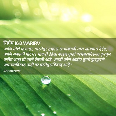 Picture 02 - निर्गम 16:8 MARIRV - आणि मोशे म्हणाला, - Bible Verse Picture
