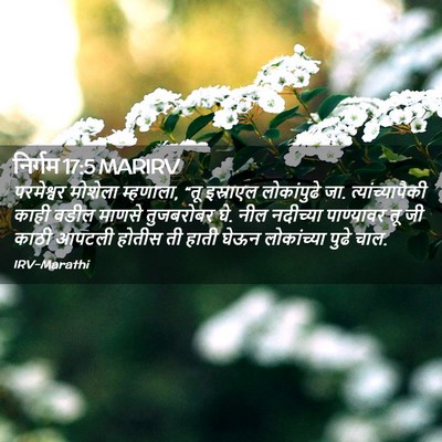 Picture 02 - निर्गम 17:5 MARIRV - परमेश्वर मोशेला - Bible Verse Picture