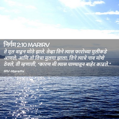 Picture 02 - निर्गम 2:10 MARIRV - ते मूल वाढून मोठे - Bible Verse Picture