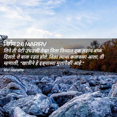 Picture 02 - निर्गम 2:6 MARIRV - तिने ती पेटी उघडली - Bible Verse Picture