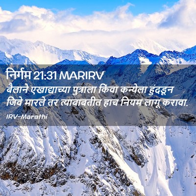 Picture 02 - निर्गम 21:31 MARIRV - बैलाने - Bible Verse Picture