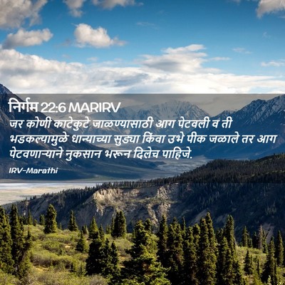 Picture 02 - निर्गम 22:6 MARIRV - जर कोणी काटेकुटे - Bible Verse Picture