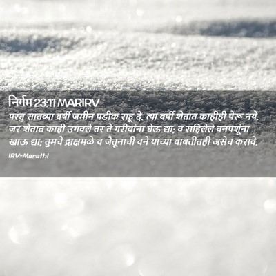 Picture 02 - निर्गम 23:11 MARIRV - परंतु सातव्या - Bible Verse Picture