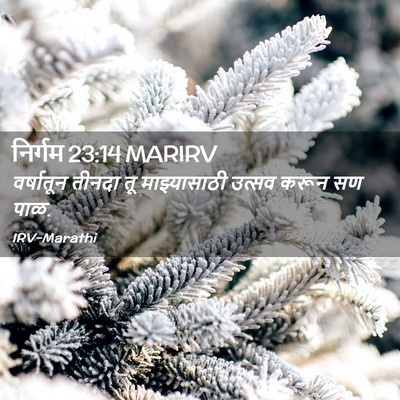 Picture 02 - निर्गम 23:14 MARIRV - वर्षातून तीनदा तू - Bible Verse Picture