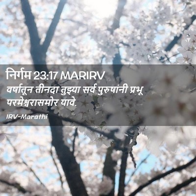 Picture 02 - निर्गम 23:17 MARIRV - वर्षातून तीनदा - Bible Verse Picture