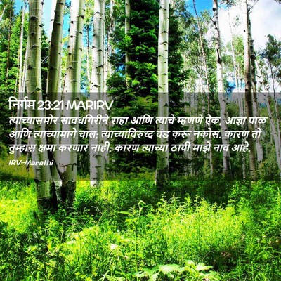 Picture 02 - निर्गम 23:21 MARIRV - त्याच्यासमोर - Bible Verse Picture