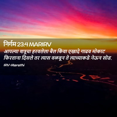 Picture 02 - निर्गम 23:4 MARIRV - आपल्या शत्रूचा - Bible Verse Picture