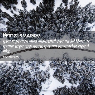 Picture 02 - निर्गम 23:5 MARIRV - तुझ्या शत्रूचे - Bible Verse Picture