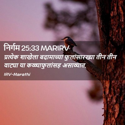 Picture 02 - निर्गम 25:33 MARIRV - प्रत्येक शाखेला - Bible Verse Picture
