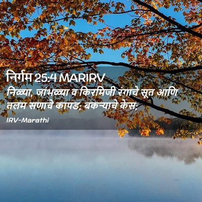 Picture 02 - निर्गम 25:4 MARIRV - निळ्या, जांभळ्या व - Bible Verse Picture