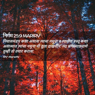 Picture 02 - निर्गम 25:9 MARIRV - निवासमंडप कसा - Bible Verse Picture