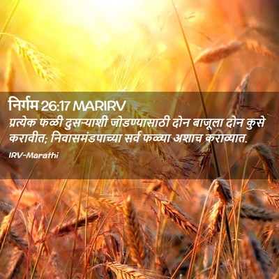 Picture 02 - निर्गम 26:17 MARIRV - प्रत्येक फळी - Bible Verse Picture