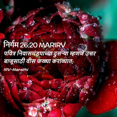 Picture 02 - निर्गम 26:20 MARIRV - पवित्र - Bible Verse Picture