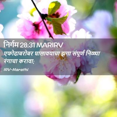 Picture 02 - निर्गम 28:31 MARIRV - एफोदाबरोबर - Bible Verse Picture