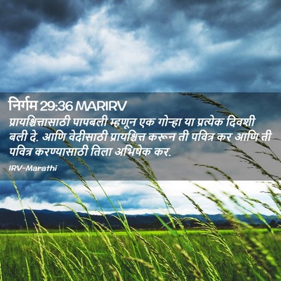Picture 02 - निर्गम 29:36 MARIRV -  - Bible Verse Picture