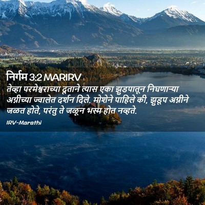 Picture 02 - निर्गम 3:2 MARIRV - तेव्हा - Bible Verse Picture