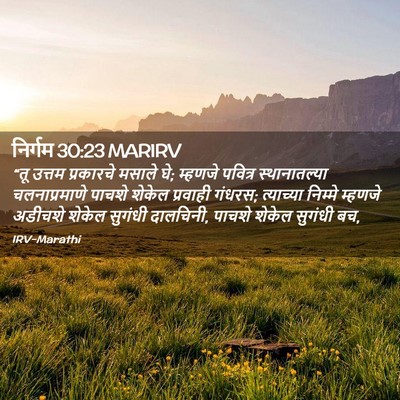 Picture 02 - निर्गम 30:23 MARIRV - “तू उत्तम - Bible Verse Picture