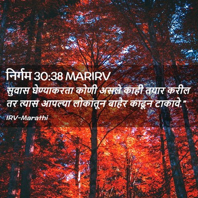 Picture 02 - निर्गम 30:38 MARIRV - सुवास घेण्याकरता - Bible Verse Picture