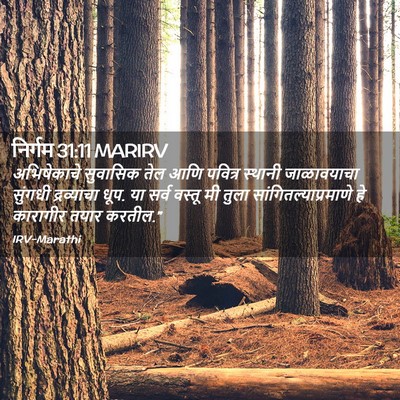 Picture 02 - निर्गम 31:11 MARIRV - अभिषेकाचे सुवासिक - Bible Verse Picture