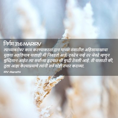 Picture 02 - निर्गम 31:6 MARIRV - त्याच्याबरोबर काम - Bible Verse Picture