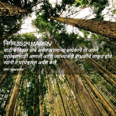 Picture 02 - निर्गम 35:24 MARIRV - चांदी व पितळ यांचे - Bible Verse Picture