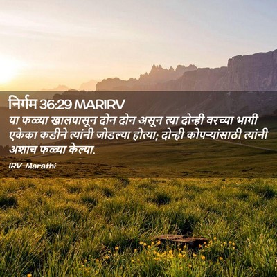 Picture 02 - निर्गम 36:29 MARIRV - या फळ्या खालपासून - Bible Verse Picture