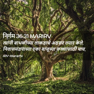 Picture 02 - निर्गम 36:31 MARIRV - त्यांनी बाभळीच्या - Bible Verse Picture